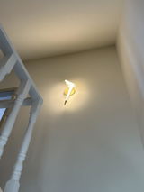 Donald Moll review photo