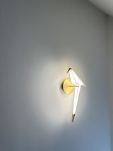 Donald Moll review photo