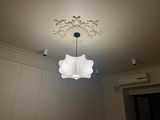 Harriet Craigie review photo
