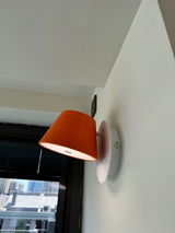 Levi Edison review photo