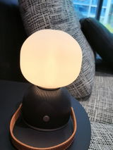 Aaron Robert review photo