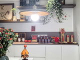 Beverly Bach review photo