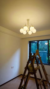 Dora Reade review photo