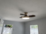 Adolph Alcott review photo