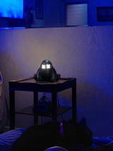 Elijah Hornby review photo