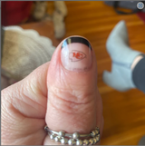Amy review photo