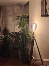 Olen review photo