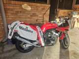 User picture
