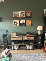 Kees van Vliet review photo