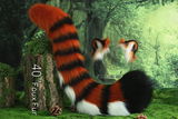 Benji review photo