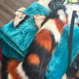 Kyla review photo