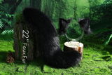 flean review photo