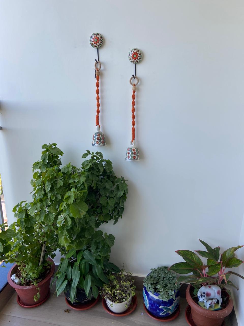 Sheeja review photo