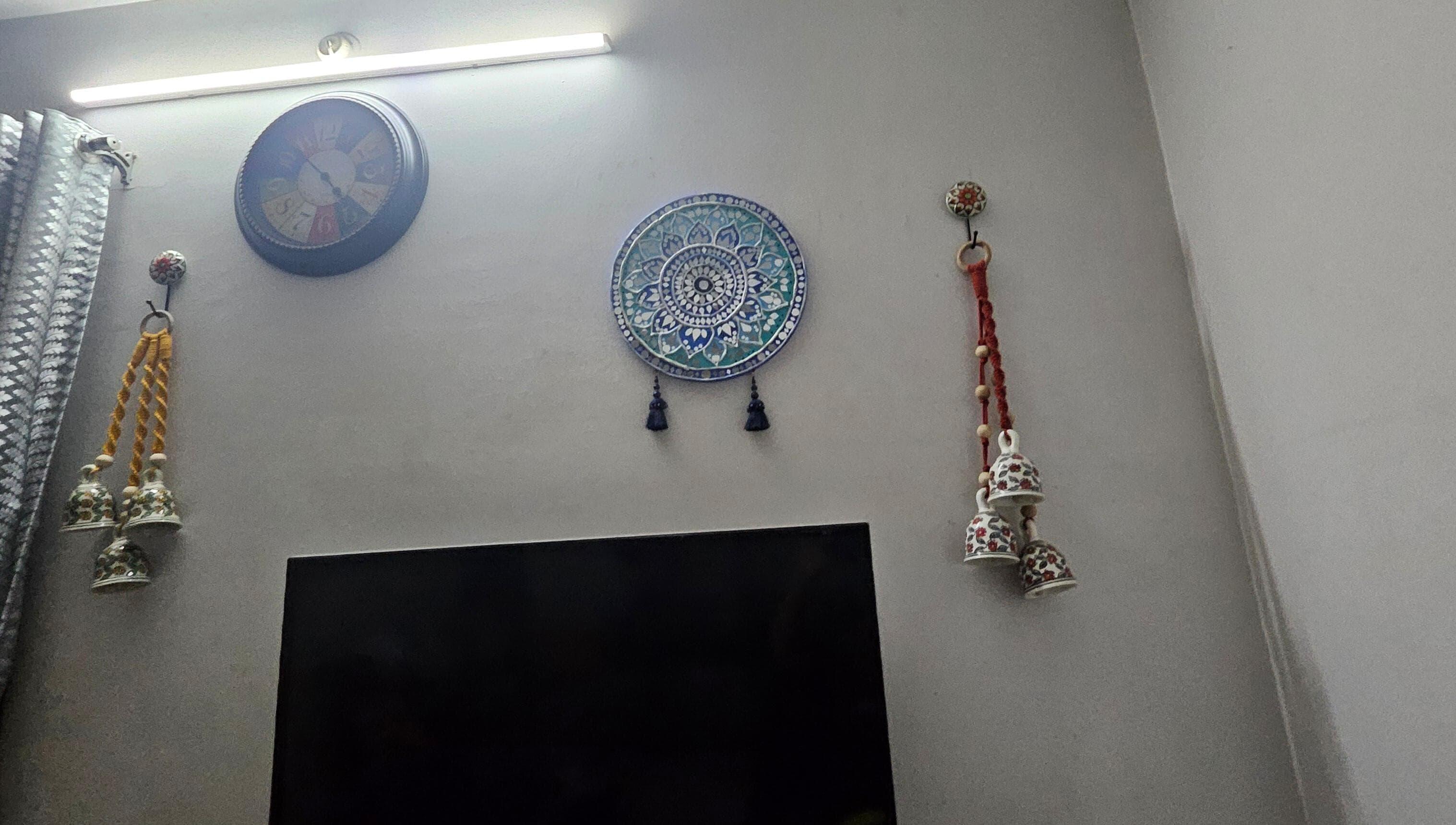 Pallavi review photo