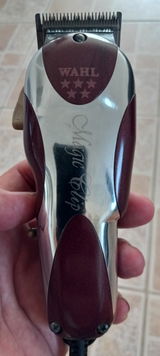 Angel Geranie[Puerto Rico] review photo