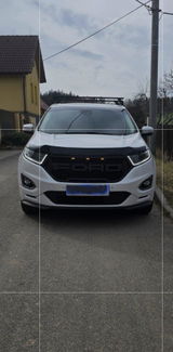 Petr Fojt review photo