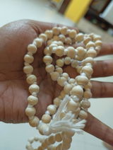 Ramesh Pillai review photo