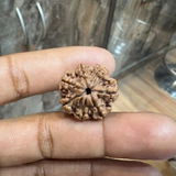 Vikram Singh review photo