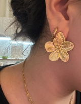 Jacinta review photo