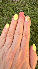 Anne Frisbie review photo
