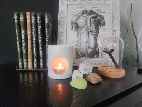 Classic Wax Truffle Discovery Box