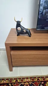 Cesar Hermann review photo