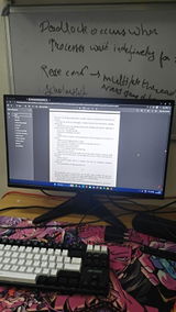 Punya Ganesh review photo