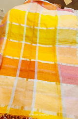 Pradnya review photo