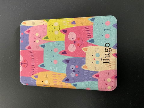 Kindle Case - Cat Kitty
