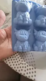 Jackson W. review photo
