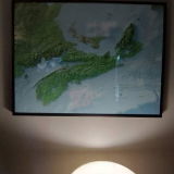 Andrew Stevens review photo