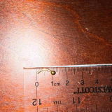Kleah S. review photo