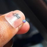 ss review photo