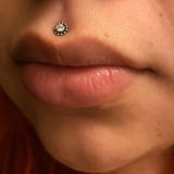 alondra review photo