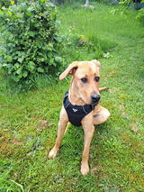 Twan B. review photo