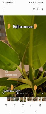 Victor manuel Chacon review photo