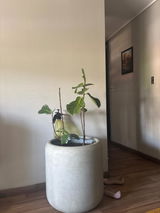 Nury Aravena review photo