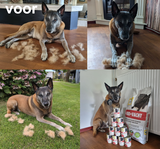 Ron Smits review photo