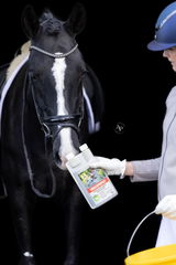Gaby Spoeltman review photo