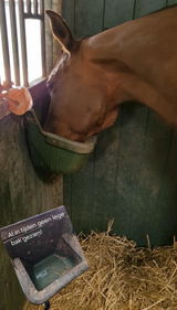 Marilou Lap review photo