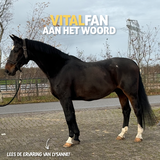 Lysanne Wielsma review photo