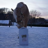 EQUIZONIËN review photo