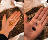 Destiny Joy Grobben review photo