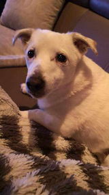Rowenna review photo