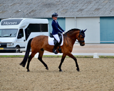 Marleen van den Oord review photo