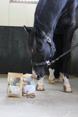 Gaby (Horse&Lifestyle) review photo