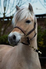 Debora review photo
