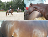 Ineke review photo