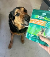 Bundle Pack of 4 x VitaRapid® Tranquil Daily Treats For Dogs 210g
