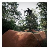 Dane Nitzsche review photo